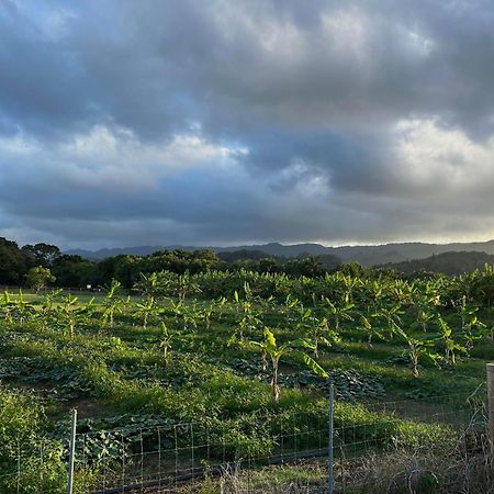 Maleka Farm: Tent Glamping North Shore Oahu Laie Kültér fotó